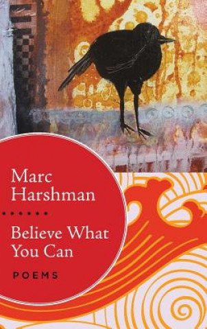 Kniha Believe What You Can Marc Harshman