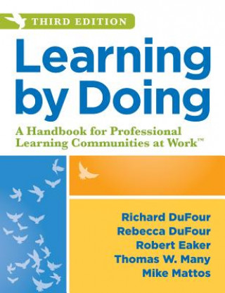 Boek Learning by Doing Richard Dufour