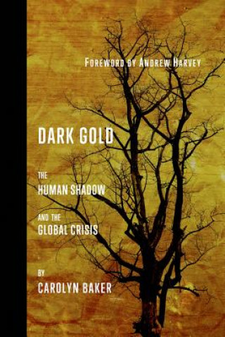 Книга Dark Gold Carolyn Baker