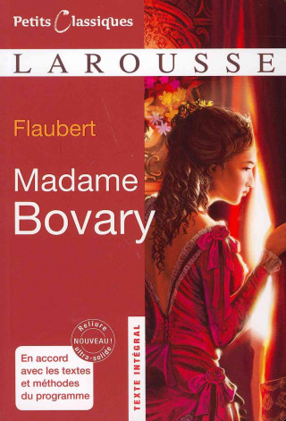 Kniha Madame Bovary Flaubert