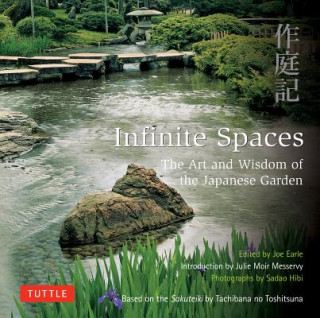 Könyv Infinite Spaces Joe Earle
