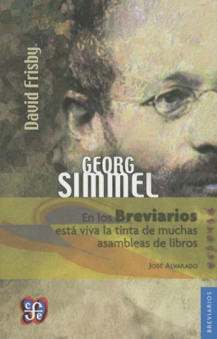 Könyv Georg Simmel David Frisby