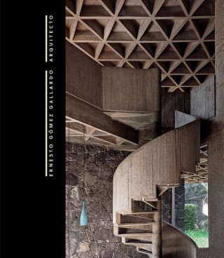 Kniha Ernesto Gomez Gallardo - Architect Alejandro Hernandez Galvez
