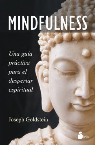 Kniha Mindfulness Joseph Goldstein