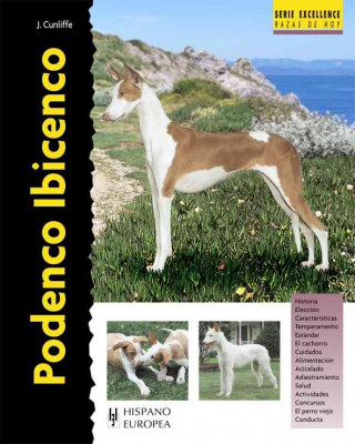 Kniha Podenco Ibicenco/ Ibizan Hound Juliette Cunliffe