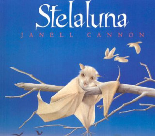 Könyv Stela Luna/Stellaluna Jannell Cannon