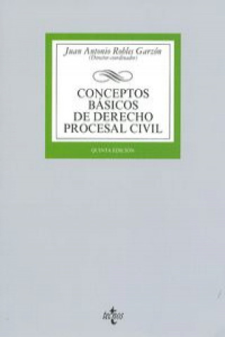 Book Conceptos básicos de derecho procesal civil / Basics concepts of civil procedural law Juan Antonio Robles Garzon