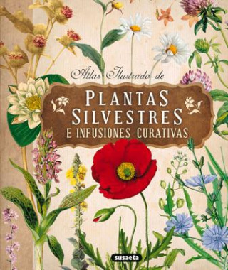 Kniha Atlas ilustrado de plantas silvestres e infusiones curativas / Illustrated Atlas of Wild Plants and Healing Infusions Eliska Tomanova