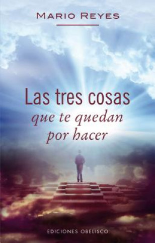 Книга Las tres cosas que te quedan por hacer/ Three Things You Have Left To Do Mario Reyes