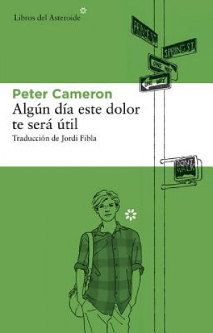 Kniha Algún día este dolor te será útil Peter Cameron