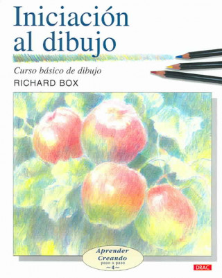 Knjiga Iniciacion Al Dibujo/ Basic Drawing Techniques Richard Box