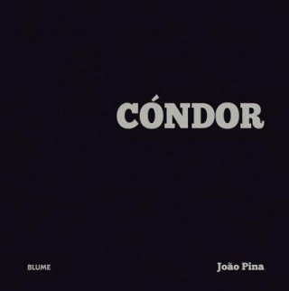 Kniha Condor Joăo Pina