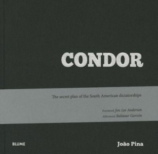 Kniha Condor Joăo Pina