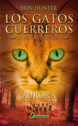 Książka Aurora/ Dawn Erin Hunter