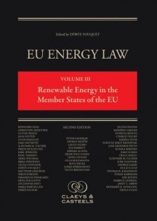 Kniha Renewable Energy in the Member States of the European Union Dorte Fouquet