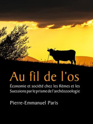 Könyv Au fil de l'os Pierre-Emmanuel Paris