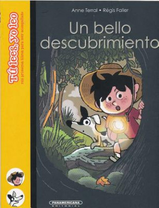 Книга Un bello descubrimiento/ A Beautiful Find Anne Terral