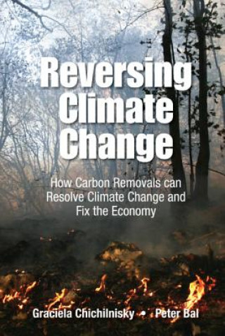 Carte Reversing Climate Change: How Carbon Removals Can Resolve Climate Change And Fix The Economy Graciela Chichilnisky