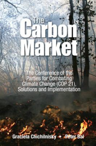 Carte Reversing Climate Change: How Carbon Removals Can Resolve Climate Change And Fix The Economy Graciela Chichilnisky