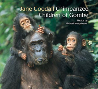 Kniha The Chimpanzee Children of Gombe Jane Goodall