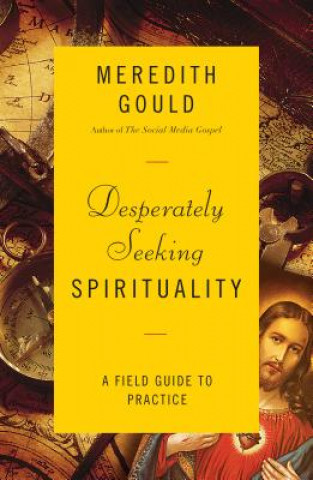 Carte Desperately Seeking Spirituality Meredith Gould