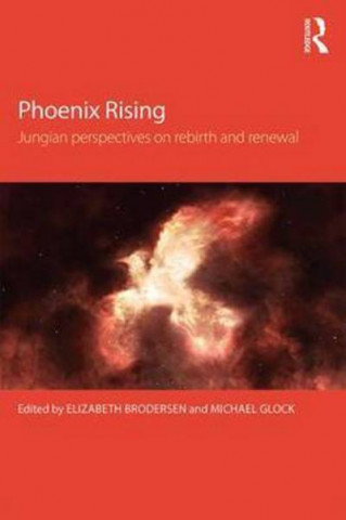 Libro Jungian Perspectives on Rebirth and Renewal Elizabeth Brodersen