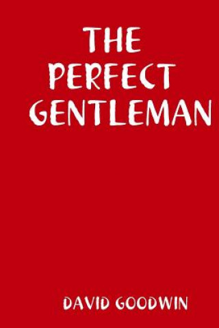 Könyv Perfect Gentleman DAVID GOODWIN