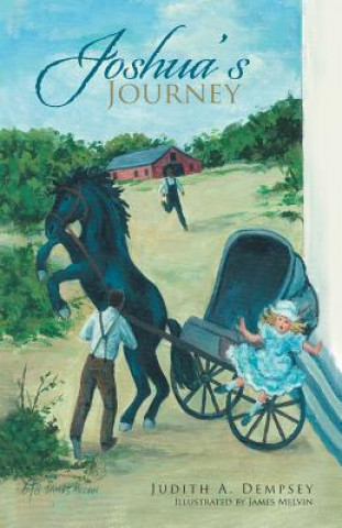 Buch Joshua's Journey JUDITH A. DEMPSEY