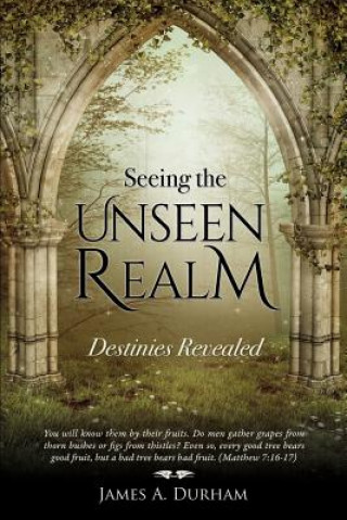 Kniha Seeing the Unseen Realm JAMES A. DURHAM