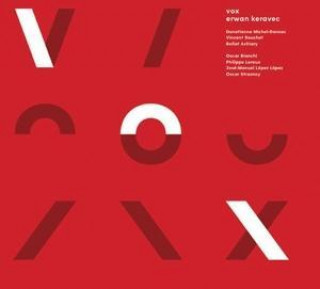 Audio Vox Erwan Keravec