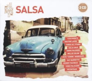 Audio All You Need Is: Salsa Various