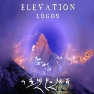 Audio Elevation Logos