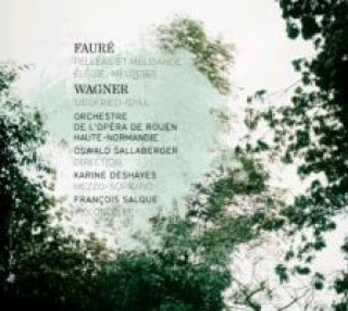 Audio Pelleas et Melisande/Siegfried-Idyll/+ Deshayes/Salque/Sallaberger