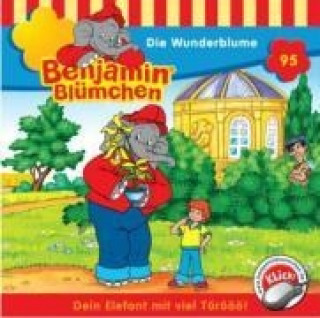 Audio Folge 095:Die Wunderblume 