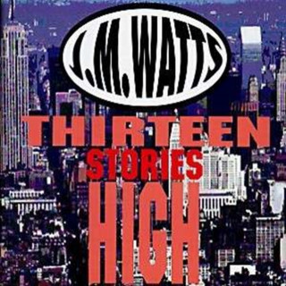 Audio Thirteen Stories High J. M. Watts