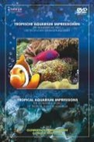 Wideo Tropische Aquarium Impressionen Fische