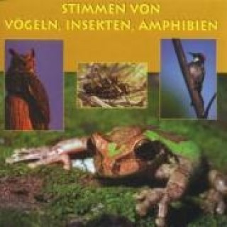 Audio Stimmen V.Vögeln,Insekten,Amph Vogelstimmen