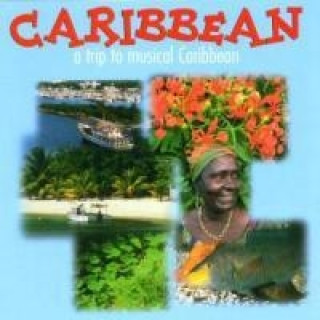 Audio Karibik Various