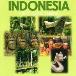 Audio Indonesien Various