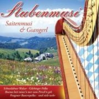 Audio Stubenmusi-Saitenmusi & Gsangerl Various