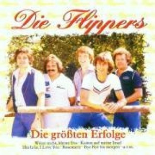 Audio Die Gröáten Erfolge Die Flippers