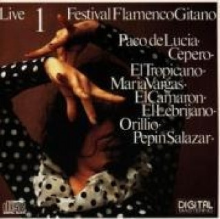 Audio Live Vol.1 Festival Flamenco Gitano