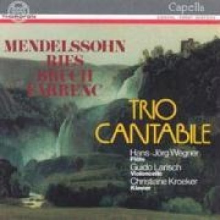 Audio Mendelssohn-Ries-Bruch-Farrenc Trio Cantabile