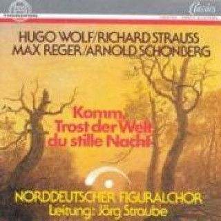 Audio Wolf/Strauss/Reger/Schönberg Jörg Straube