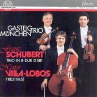 Audio Streichtrios Gasteig-Trio