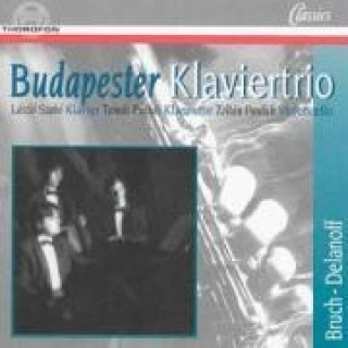 Audio Max Bruch/Robert Delanoff Budapester Klaviertrio