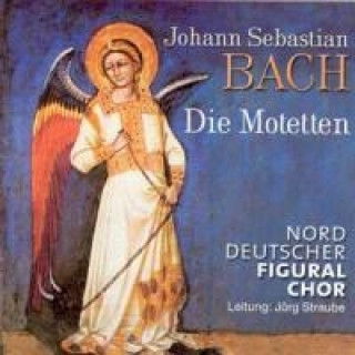 Audio Die Motetten/+zugeschriebene Werke Jörg Norddeutscher Figuralchor/Straube