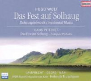 Audio Das Fest Auf Solhaug (Ibsen) Froschauer/WDR Ro