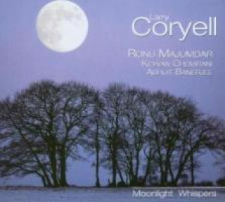 Audio Moonlight Wispers Larry Coryell
