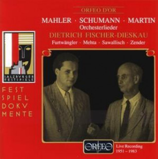 Audio Orchesterlieder: Lieder eines fahrenden Gesellen/+ Fischer-Dieskau/Mehta/Zender/WP